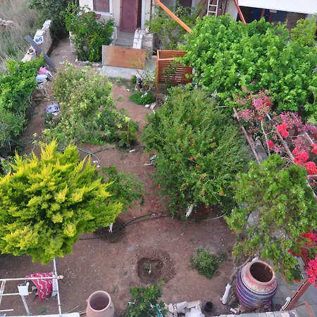 Villa Mata-2