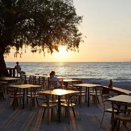 Alex Beach-2