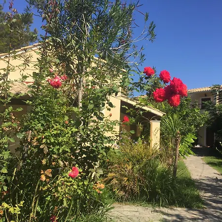 Ilena Hotel-2