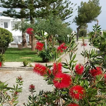 Blue Nest Hotel-2