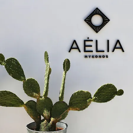 Aelia Mykonos-3
