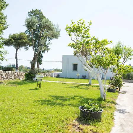 Gelli Apartments-3