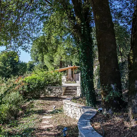 Rodami-2