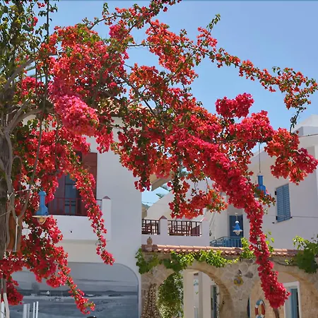 Saronis Hotel Agistri - Adults Only-2