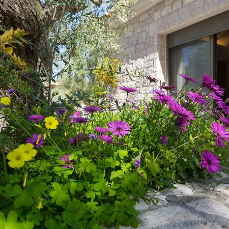 Anthemion Suites And Villas-2