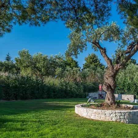 Mirabilia Boutique Hotel-3