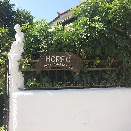 Pettite Morfo-3