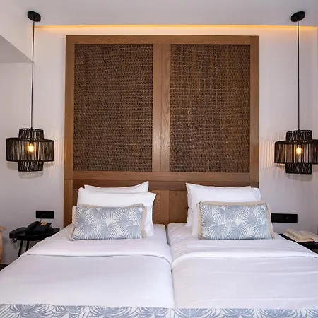 Delfina Tropic Beach - Adults Only-3