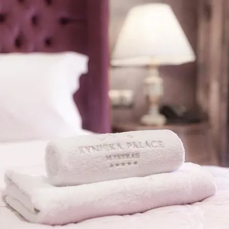 Kyniska Palace Conference & Spa-3