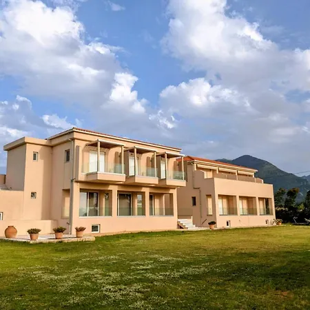Sani Kasimis-2