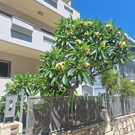 Captain Yiannis Studios & Apartments-3