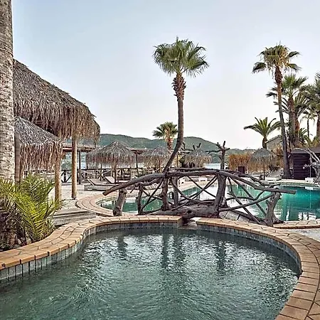 Gloria Maris (Adults Only)-3
