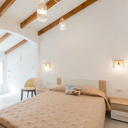 Bivalvia Beach Plus-3