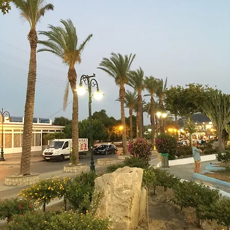 Bivalvia Beach Plus-3