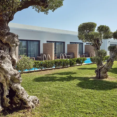 Cavo Orient Beach Hotel & Suites-2