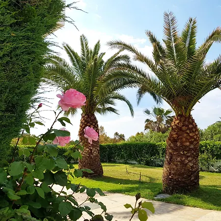 Alexandros Palace-3