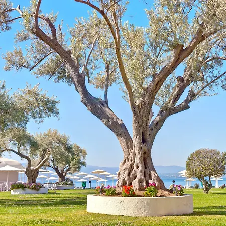 Palmariva Beach Hotel By Anayia All Inclusive Resorts-2