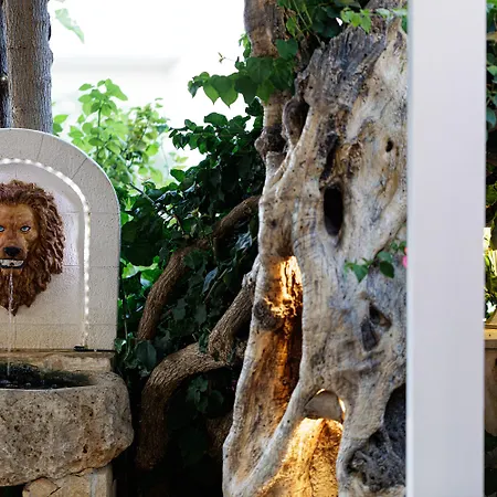 Gorgona Hotel-2