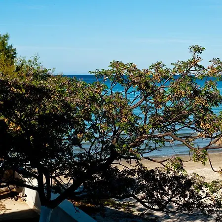 Sea Sight-2