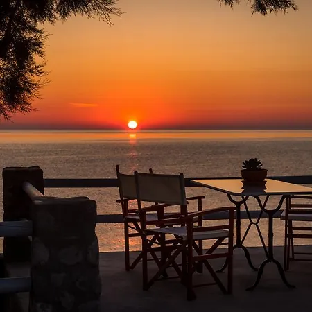 Aronia Villa-3