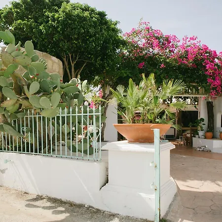 Gorgona Studios-2
