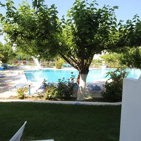 Garden-2