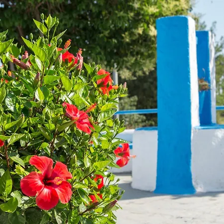 Yiannis Yard Studios & Apartments-2