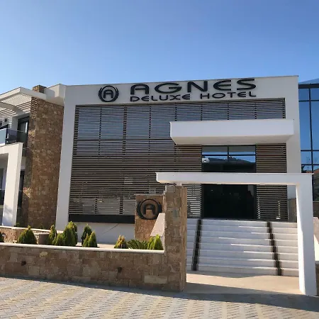 Agnes Deluxe Hotel-2