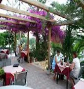 Rainbow Studios Zante-3