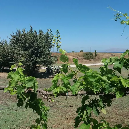 Villa Kos-2
