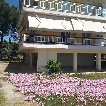 Metamorphosis - Halkidiki Apartment On The Beach-3