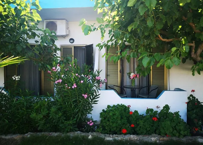 Ορθή Άμμος