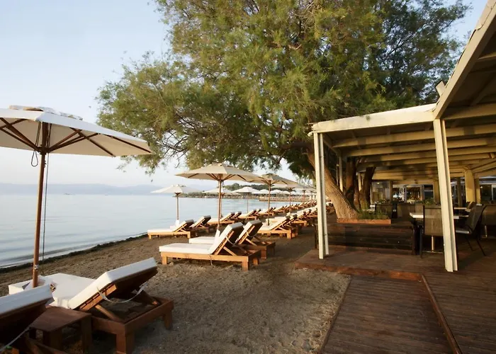 Eviana Beach