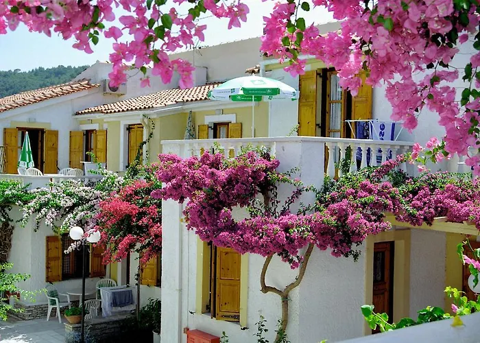 Olympia Village