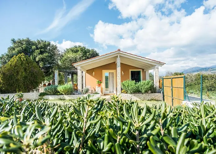 Villa Aelia - A Peaceful And Private Place