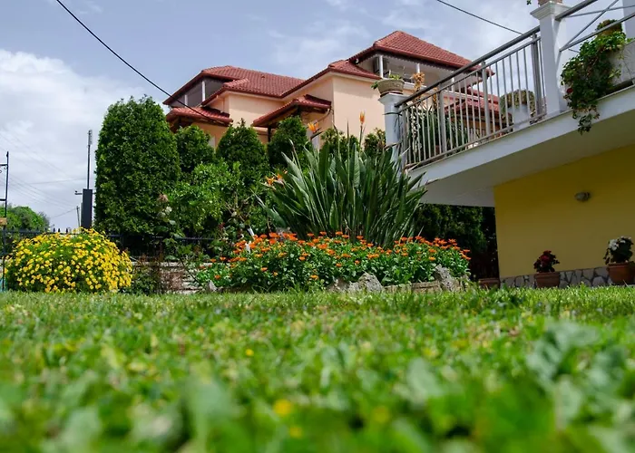 Aliki Studios
