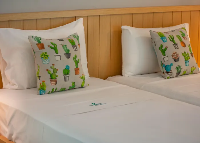 Cactus Hotel Laganas