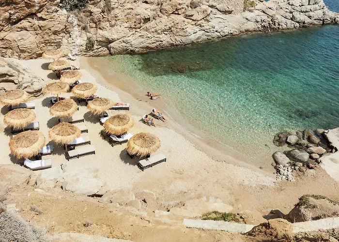 The Wild By Interni