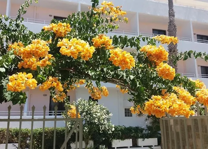 Kardamena Holiday Apartments