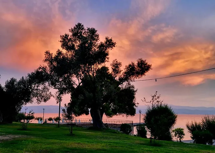 Holidays In Evia Beach (Adults Only)