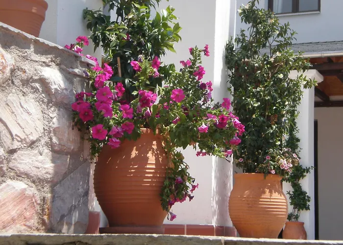 Hotel Pelion Resort