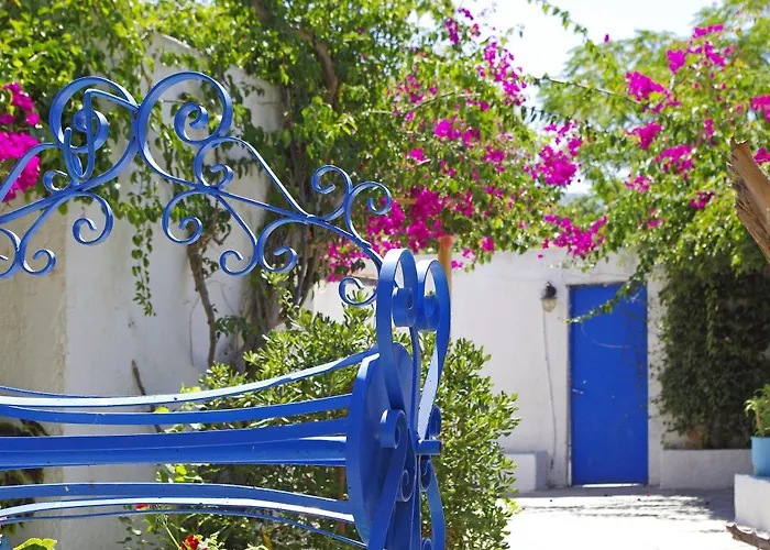 Palm Beach Hotel - Adults Only