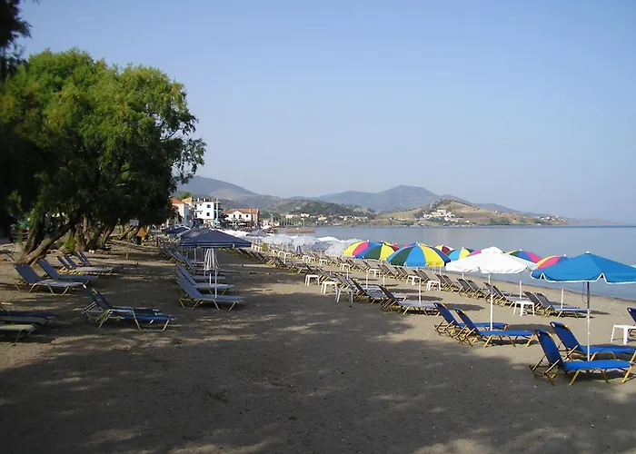 Hotel Ilion Petra 