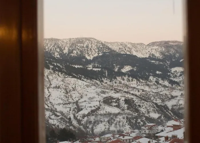 Asteri Metsovou