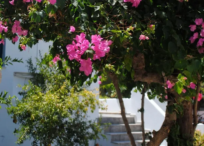 Apollonia