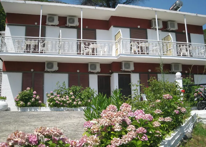Bellina Studios