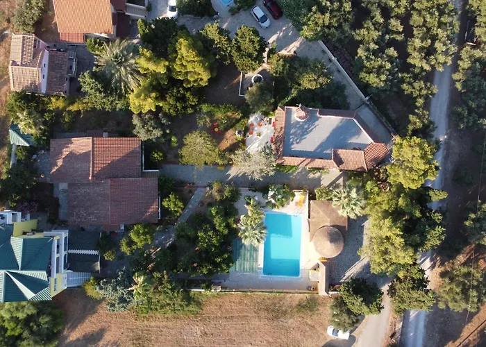 Lemon Garden