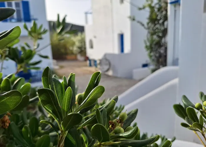 Εvi Evan Hotel