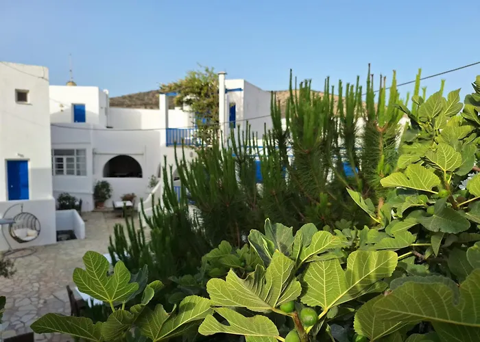 Εvi Evan Hotel