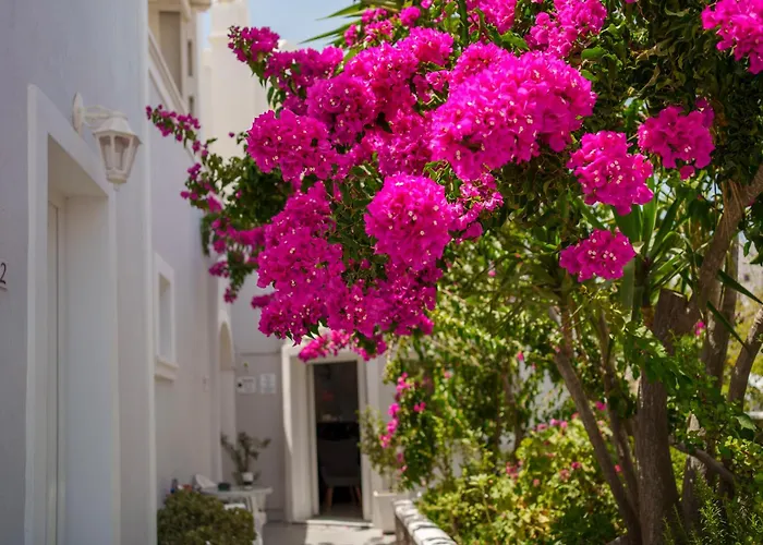 Wisteria Apartments